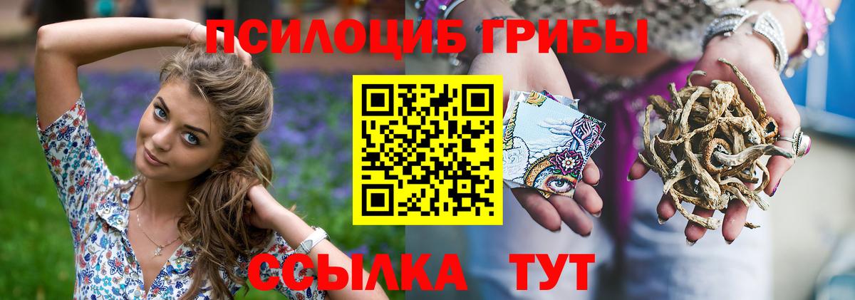 Галлюциногенные грибы Cubensis Похвистнево